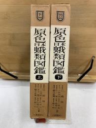 原色日本蛾類図鑑