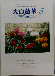 大白蓮華　2006.5