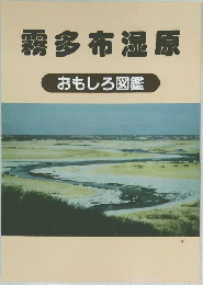 霧多布湿原  おもしろ図鑑