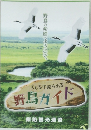 くしろで見られる野鳥ガイド