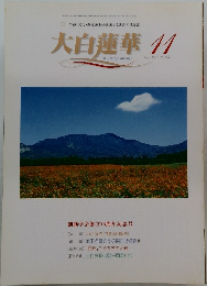 大白蓮華　11