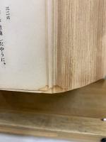 人間の由来