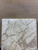 原色世界貝類図鑑