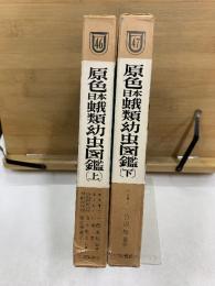 原色日本蛾類幼虫図鑑