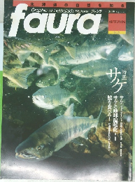 faura 2008年9