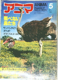 アニマ　5　