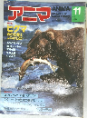 アニマ 11