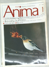 Anima　１９９１年１月号　No.220　
