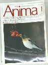 Anima　１９９１年１月号　No.220　
