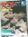 アニマ 3