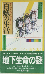 白蟻の生活 
