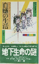 白蟻の生活 