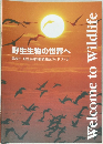 野生生物の世界へ