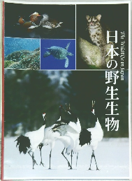 日本の野生生物
