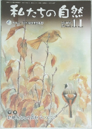 私たちの自然　2009年11月号　No.551