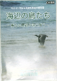 海辺の鳥たち