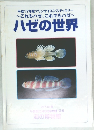 ハゼの世界　2006年