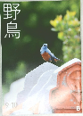 野鳥　2018年9・10月号