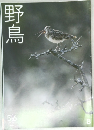 野鳥