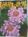 植物の世界 9
