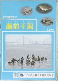 藤前干潟
