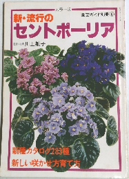 新・流行のセントポーリア