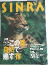 SINRA　1998年7月号