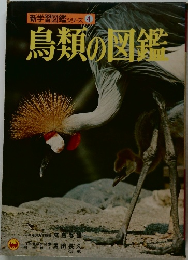 鳥類の図鑑