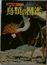 鳥類の図鑑