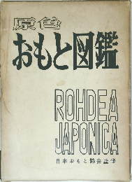 原色  おもと図鑑　日本おもと協会監修