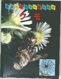 クモ