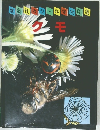 クモ