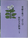 神秘な薬草 日々草