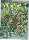 非甸四季　一月号