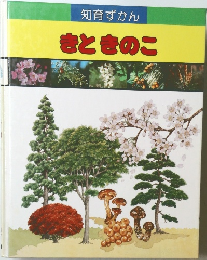 知育ずかん  きときのこ