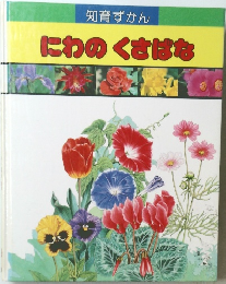にわのくさばな