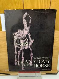 THE ANATOMY OF THE HORSE