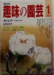 趣味の園芸　1988年1月号