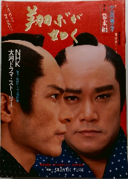 翔ぶが如く　