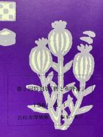 第3回特別展　暦と和時計