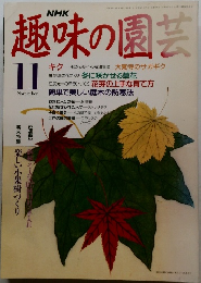 趣味の園芸　1991年11月号