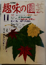 趣味の園芸　1991年11月号