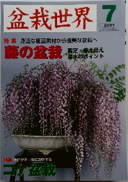 盆栽世界　2004年7月号