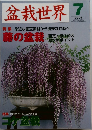 盆栽世界　2004年7月号