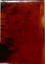 Voice