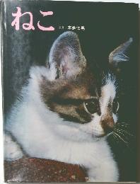 ねこ