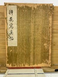 挿花寫眞帖