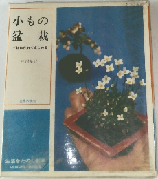 小もの盆栽　