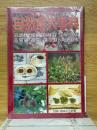 自然食大事典　木の実・草の実146種・山菜193種　育成地・特徴・利用法・料理法付