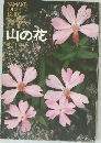 カラー　山の花　II